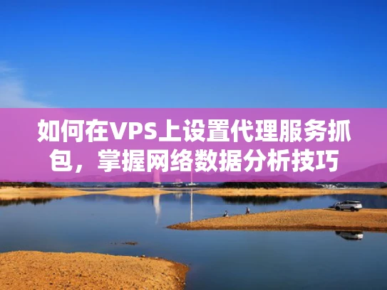 如何在VPS上设置代理服务抓包，掌握网络数据分析技巧