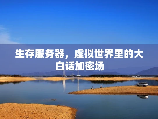 生存服务器，虚拟世界里的大白话加密场