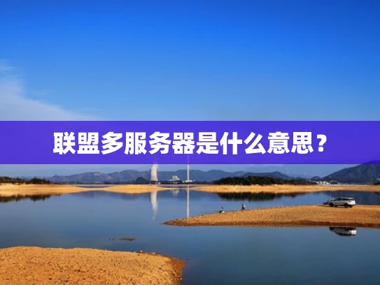 联盟多服务器是什么意思？