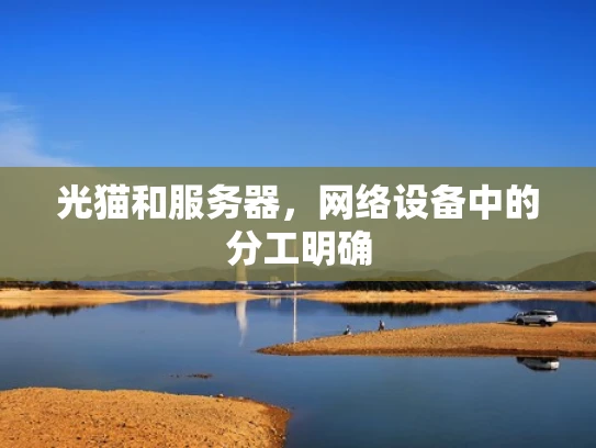 光猫和服务器，网络设备中的分工明确