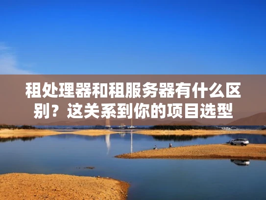 租处理器和租服务器有什么区别？这关系到你的项目选型