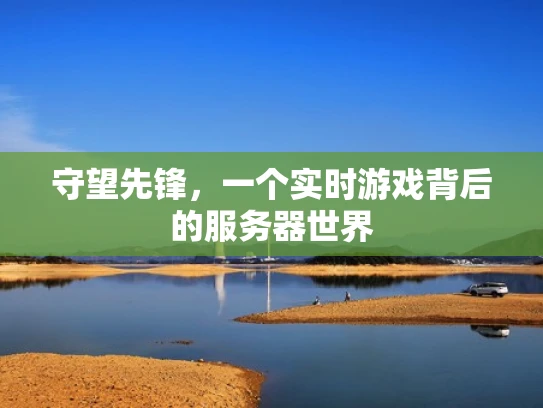 守望先锋，一个实时游戏背后的服务器世界