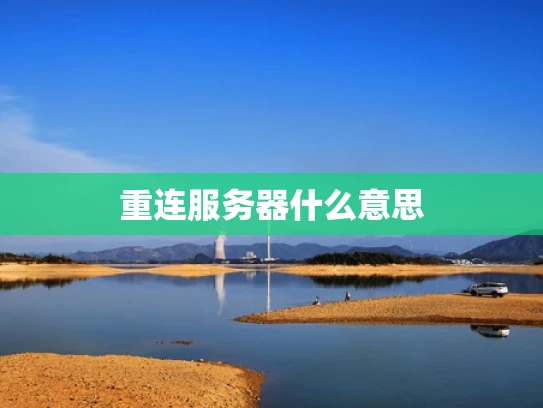 重连服务器什么意思