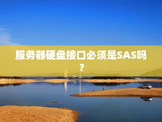 服务器硬盘接口必须是SAS吗？