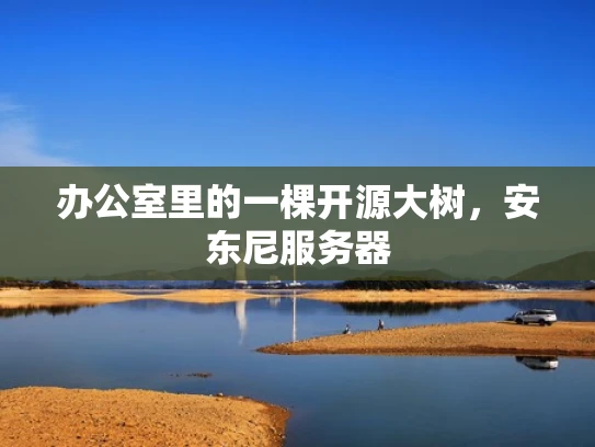 办公室里的一棵开源大树，安东尼服务器