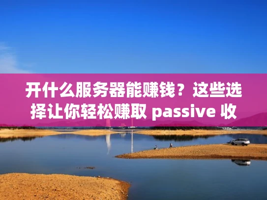 开什么服务器能赚钱？这些选择让你轻松赚取 passive 收入