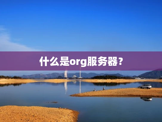 什么是org服务器？