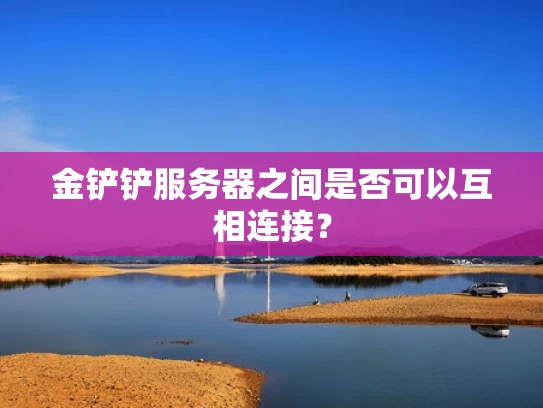 金铲铲服务器之间是否可以互相连接？
