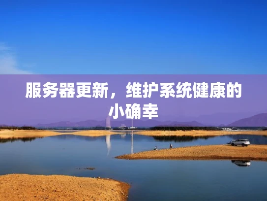 服务器更新，维护系统健康的小确幸