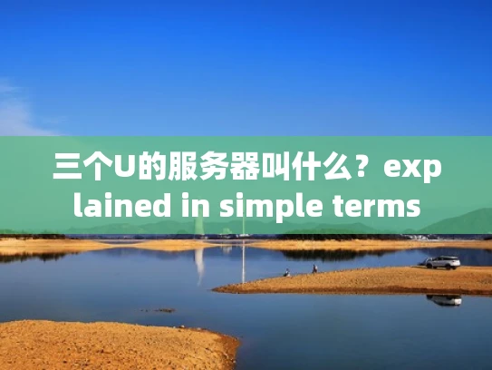 三个U的服务器叫什么？explained in simple terms