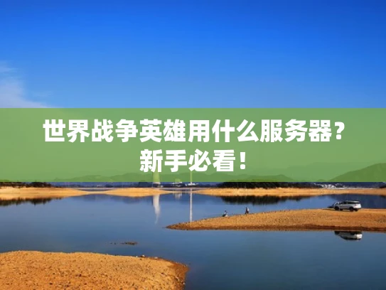 世界战争英雄用什么服务器？新手必看！