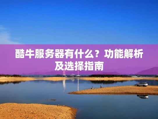 酷牛服务器有什么？功能解析及选择指南