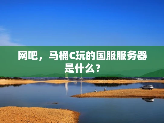 网吧，马桶C玩的国服服务器是什么？