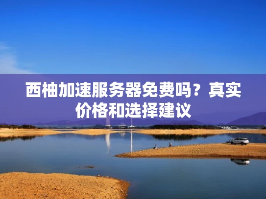 西柚加速服务器免费吗？真实价格和选择建议