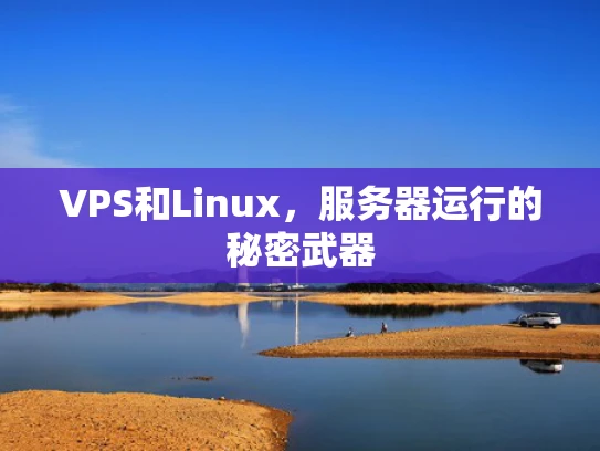 VPS和Linux，服务器运行的秘密武器