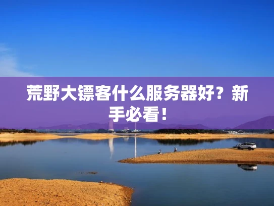 荒野大镖客什么服务器好？新手必看！