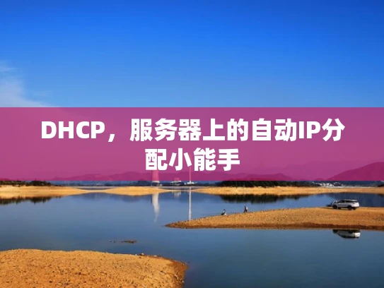 DHCP，服务器上的自动IP分配小能手