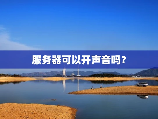 服务器可以开声音吗？