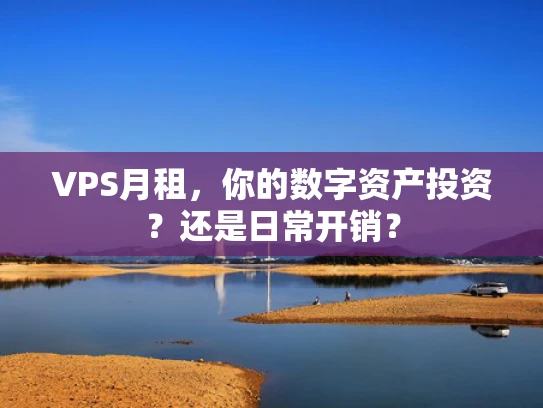 VPS月租，你的数字资产投资？还是日常开销？