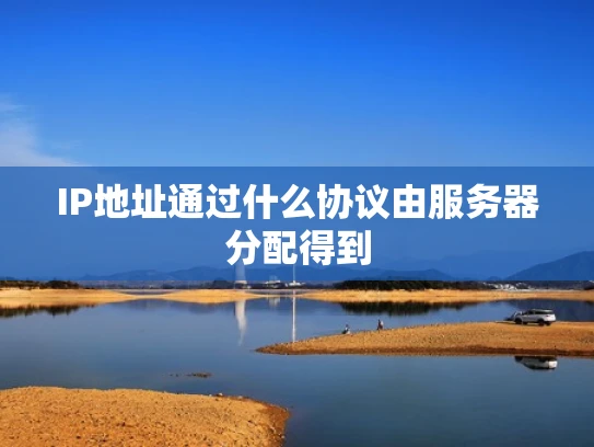 IP地址通过什么协议由服务器分配得到