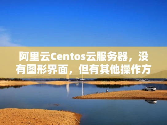 阿里云Centos云服务器，没有图形界面，但有其他操作方式