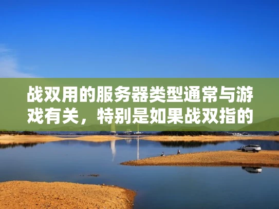 战双用的服务器类型通常与游戏有关，特别是如果战双指的是原神的话。以下是一些关于游戏服务器的常见类型和功能的解释