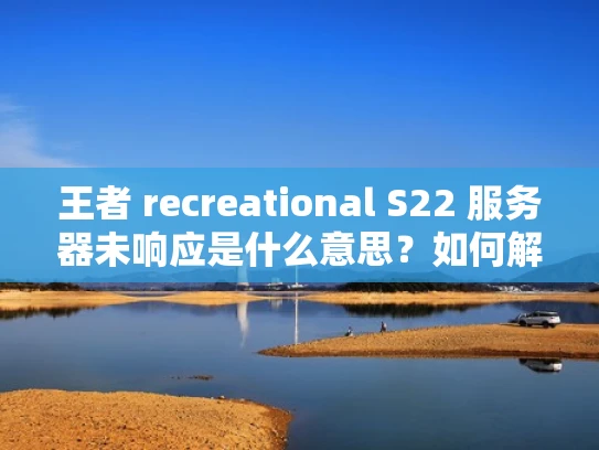 王者 recreational S22 服务器未响应是什么意思？如何解决？