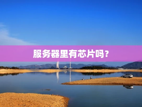 服务器里有芯片吗？
