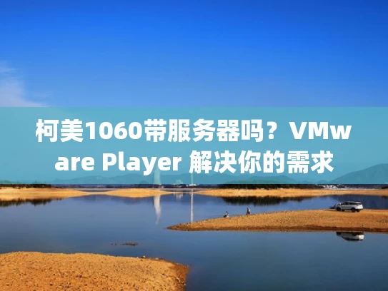 柯美1060带服务器吗？VMware Player 解决你的需求