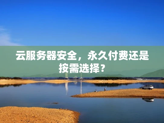 云服务器安全，永久付费还是按需选择？