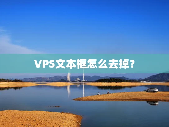 VPS文本框怎么去掉？