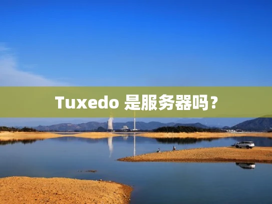 Tuxedo 是服务器吗？