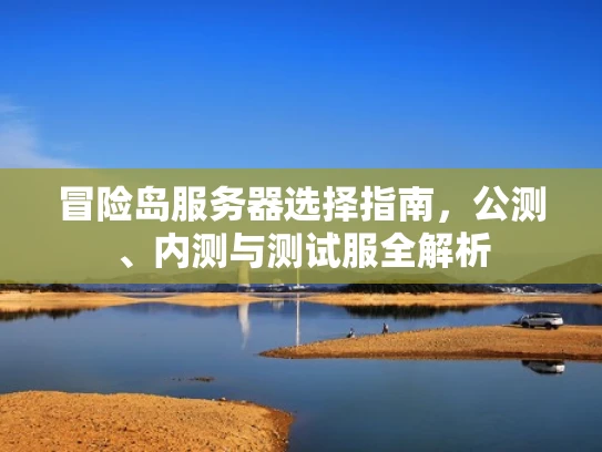 冒险岛服务器选择指南，公测、内测与测试服全解析