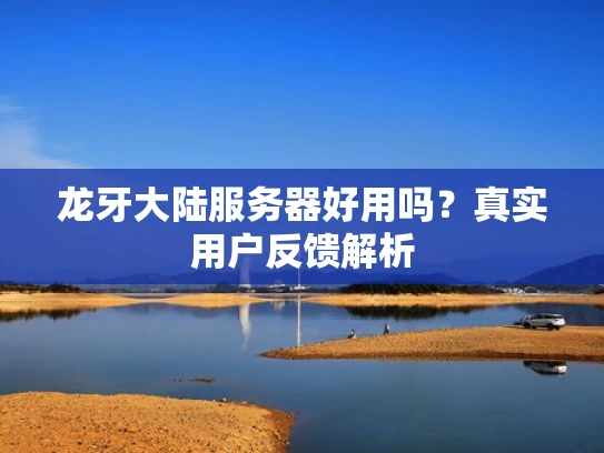 龙牙大陆服务器好用吗？真实用户反馈解析