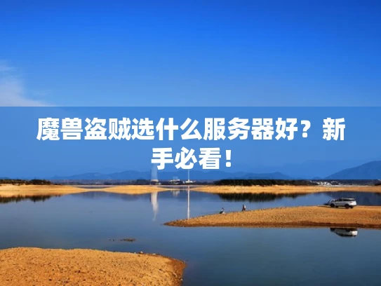 魔兽盗贼选什么服务器好？新手必看！