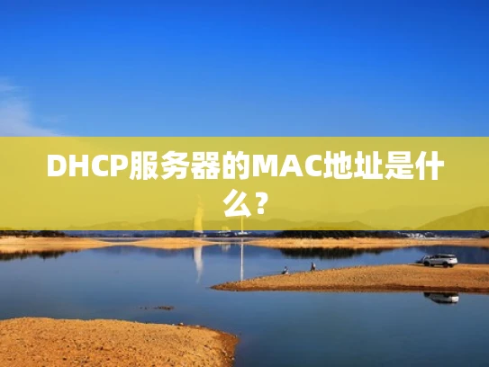 DHCP服务器的MAC地址是什么？