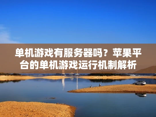 单机游戏有服务器吗？苹果平台的单机游戏运行机制解析