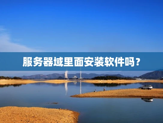服务器域里面安装软件吗？