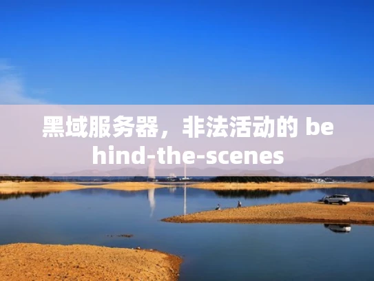 黑域服务器，非法活动的 behind-the-scenes