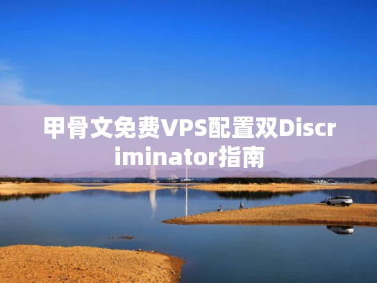 甲骨文免费VPS配置双Discriminator指南