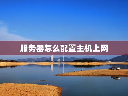 服务器怎么配置主机上网
