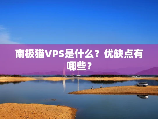 南极猫VPS是什么？优缺点有哪些？
