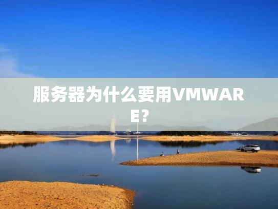 服务器为什么要用VMWARE？