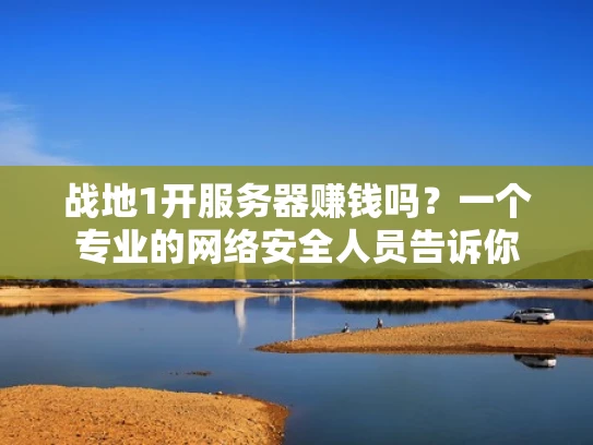 战地1开服务器赚钱吗？一个专业的网络安全人员告诉你