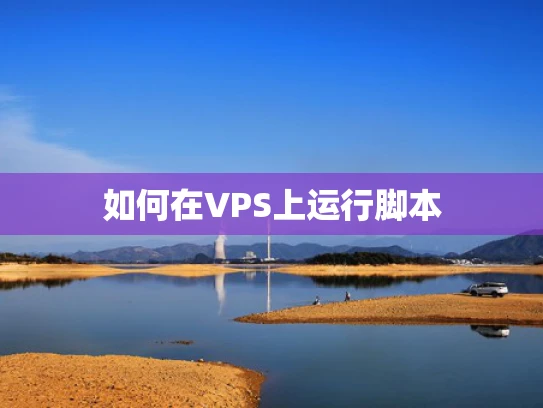如何在VPS上运行脚本