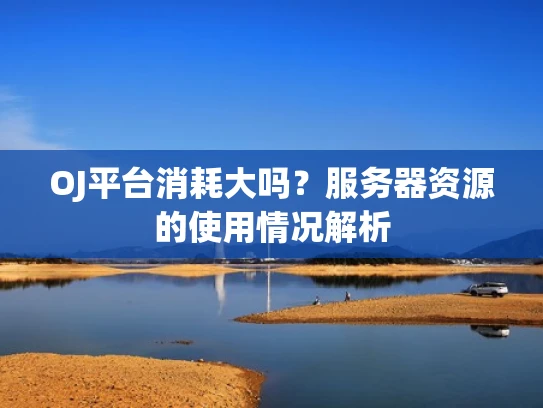 OJ平台消耗大吗？服务器资源的使用情况解析