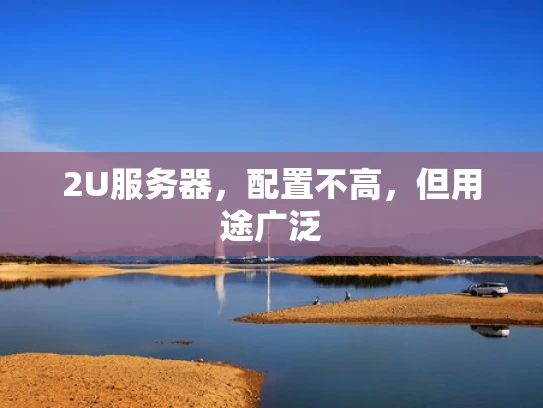 2U服务器，配置不高，但用途广泛