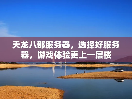 天龙八部服务器，选择好服务器，游戏体验更上一层楼