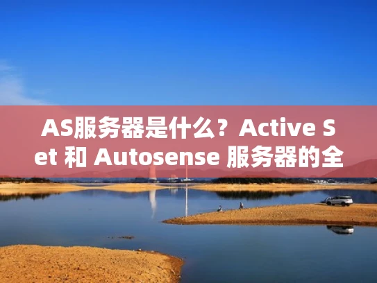 AS服务器是什么？Active Set 和 Autosense 服务器的全解析