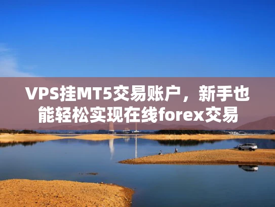 VPS挂MT5交易账户，新手也能轻松实现在线forex交易